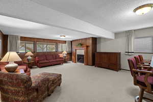 Living area featuring a textured ceiling, wooden walls, light colored carpet, and a glass covered fireplace