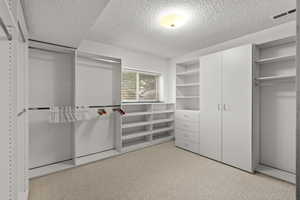 Spacious closet featuring carpet floors