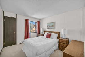 Bedroom featuring light colored carpet and a textured ceiling