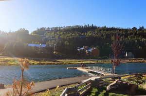 Water view featuring a forest and a dock