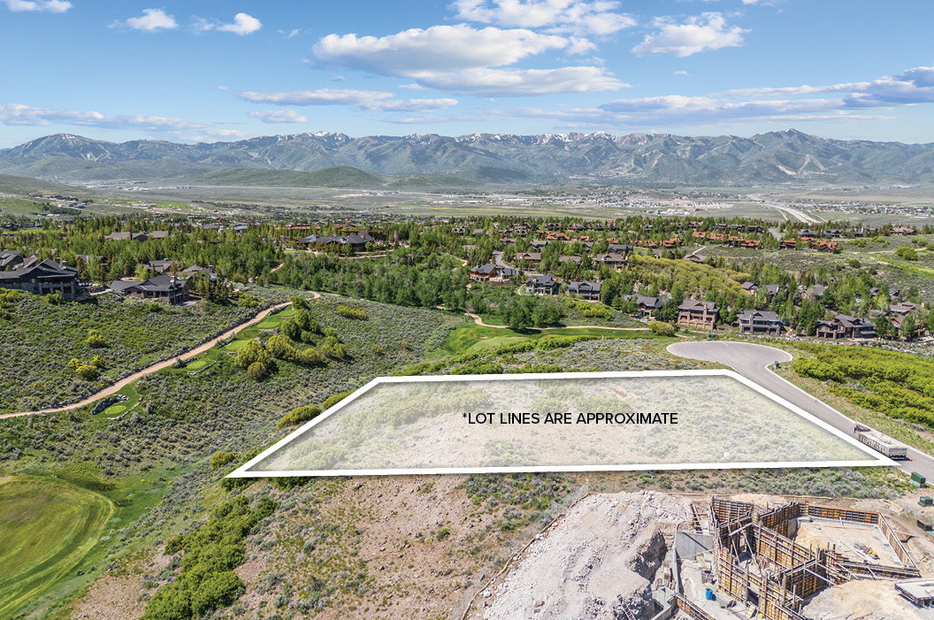 Aerial view of area with approximate lot lines highlighted