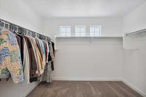 Walk in closet with carpet floors