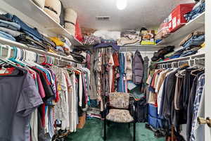 Walk in closet featuring carpet