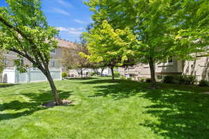 Photo 33 of 696 S CLEARWATER FALLS DR