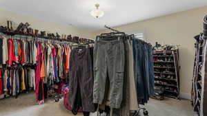 Walk in closet with carpet