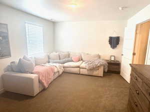 Living area featuring dark carpet