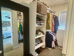 Walk in closet with carpet floors- master