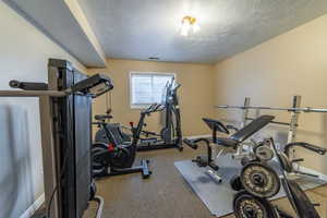 Workout room featuring a textured ceiling, baseboards, and carpet floors