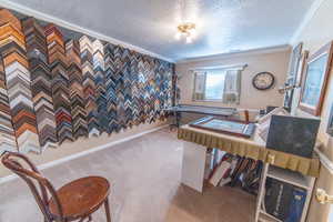 Playroom featuring a textured ceiling, crown molding, carpet flooring, and baseboards