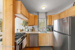 Kitchen with appliances with stainless steel finishes, a sink, light countertops, and light brown cabinets