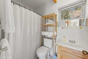 Bathroom with vanity, toilet, and a shower with shower curtain