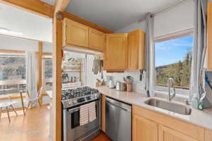 Kitchen featuring stainless steel appliances, a sink, light wood-style flooring, and light brown cabinets