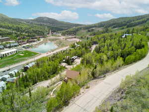 Bird's eye view of a forest and a water and mountain view