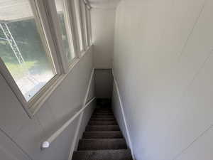 Stairs featuring a decorative wall