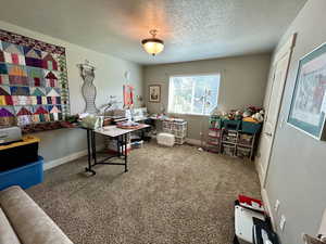 Carpeted home office with a textured ceiling and baseboards