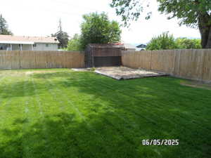 View of yard and shed