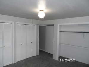 Bedroom featuring carpet and multiple closets