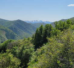 View of mountain background featuring a forest
