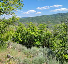 Mountain view with a heavily wooded area