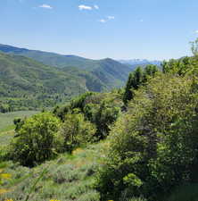 View of mountain background featuring a heavily wooded area