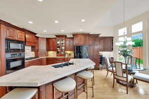 Beautiful stone counter-tops