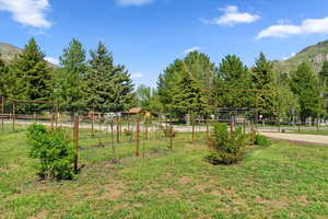 View of yard featuring a mountain view