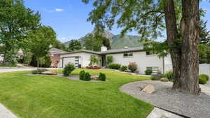 Front yard with mountain view