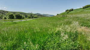 View of yard featuring a rural view and a mountain view