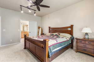 Bedroom featuring carpet flooring, track lighting, connected bathroom, and baseboards