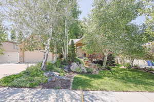 View of property hidden behind natural elements with driveway, stucco siding, and a gate