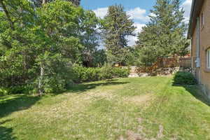 Backyard with mature trees, pear tree, grapes