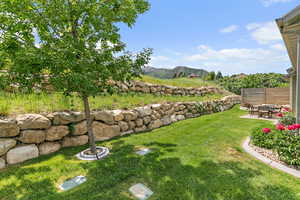 Secluded back yard