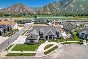 Aerial perspective of suburban area with a mountain backdrop
