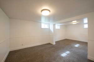Below grade area with dark carpet