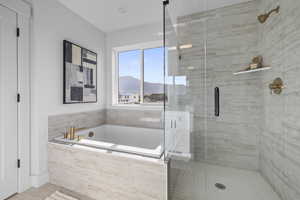 Full bath featuring a shower stall, a bath, and a mountain view