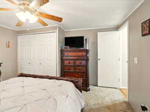 Bedroom with a closet, light colored carpet, ornamental molding, and a ceiling fan