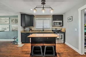 Kitchen with stainless steel appliances, a sink, dark cabinets, and dark wood-style flooring
