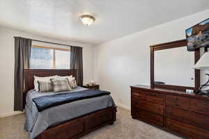 Master Bedroom featuring new light colored carpet, upgraded padding, and beautiful east facing view of the mountains.