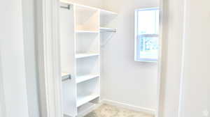 Spacious closet featuring light carpet