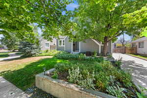 Obstructed view of property with a gate and concrete driveway