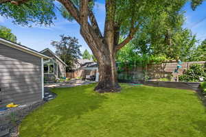 View of yard with a patio and a vegetable garden