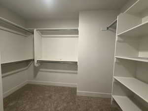 Spacious closet featuring carpet