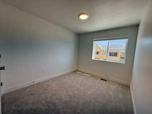 Carpeted spare room featuring baseboards and a textured ceiling