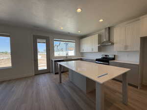 Kitchen with wall chimney exhaust hood, stainless steel appliances, a sink, a kitchen island, and a textured ceiling
