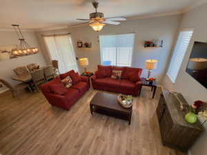 Living room featuring light wood-style floors, crown molding, ceiling fan, a chandelier, and baseboards