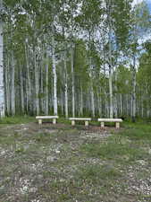 Clearing with stone benches