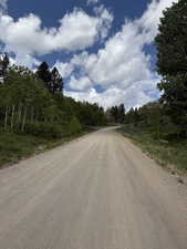 Alta Drive