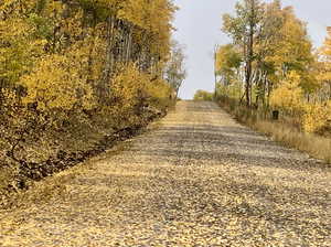 Alta Drive in the fall