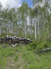 Stacked firewood