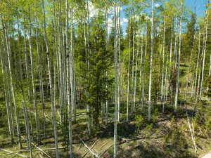 View of nature